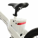 Ecotric Seagull Electric Mountain Bicycle