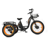 Ecotric 48V Tricycle Electric Bike with Front Basket + Rear Rack