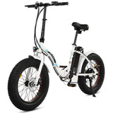 Ecotric UL Certified 20inch Portable and Folding Fat Bike Model Dolphin