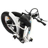 Ecotric UL Certified 20inch Portable and Folding Fat Bike Model Dolphin