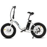 Ecotric UL Certified 20inch Portable and Folding Fat Bike Model Dolphin