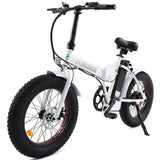 Ecotric UL Certified 20inch Fat Tire Portable and Folding Electric Bike