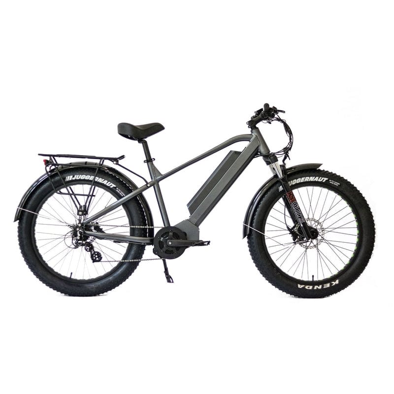 Eunorau FAT-HD Fat Tire Electric Mountain Bike