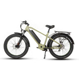 Eunorau FAT-HD Fat Tire Electric Mountain Bike