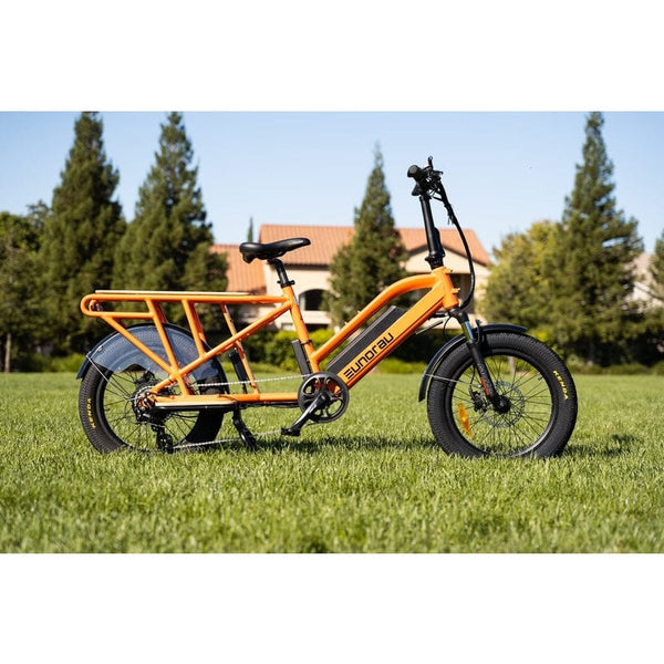 Eunorau G30-Cargo Electric Utility Bike