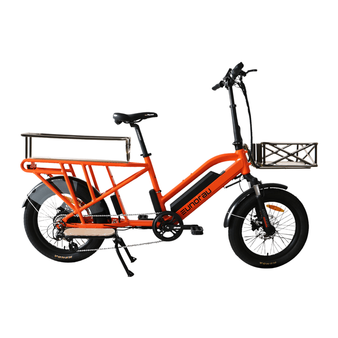 Eunorau G30-Cargo Electric Utility Bike