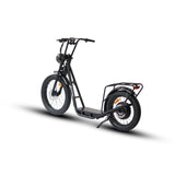 Eunorau Jumbo Electric Cargo Bike