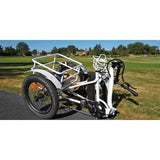 Eunorau New Trike Electric Fat Tire Tricycle