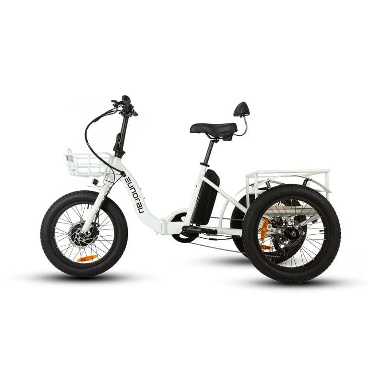 Eunorau New Trike Electric Fat Tire Tricycle