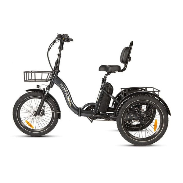 Eunorau One Trike Electric Fat Tire Tricycle