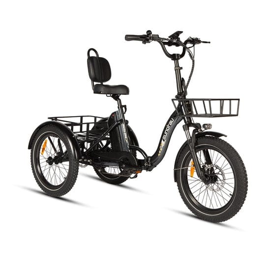 Eunorau One Trike Electric Fat Tire Tricycle