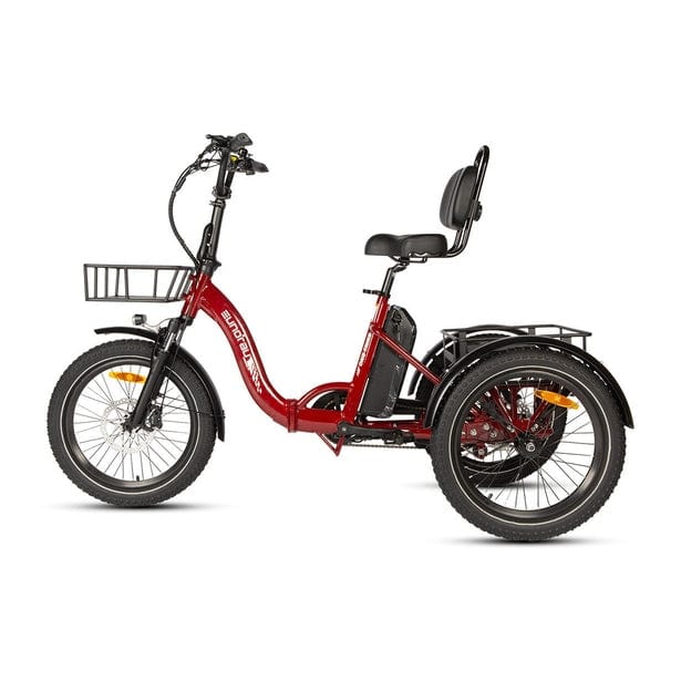 Eunorau One Trike Electric Fat Tire Tricycle