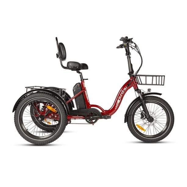 Eunorau One Trike Electric Fat Tire Tricycle