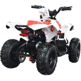 MotoTec E-Bully 36v 1000w ATV