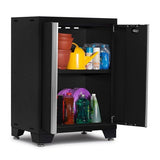 NewAge Bold Series 2-Door Base Cabinet